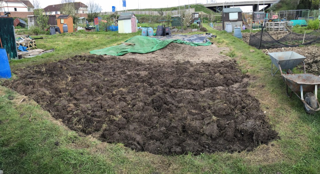 Allotment (1).JPG